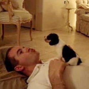 Adorable Beagle Puppy Howling at 3 Weeks Old (VIDEO)